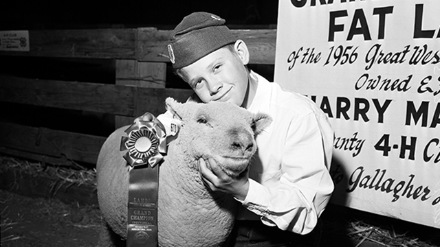 Check for The Legacy of the 4-H airing on a public television station near you!